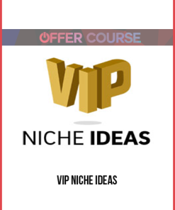 VIP Niche Ideas