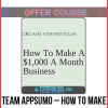 Team AppSumo – How to make a $1,000 a month business