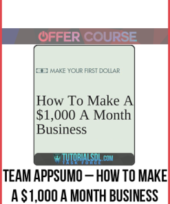 Team AppSumo – How to make a $1,000 a month business