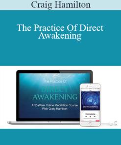 Craig Hamilton - The Practice Of Direct Awakening