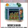 Monica Main – SELF STORAGE CASH FLOW