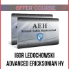 Igor Ledochowski – Advanced Ericksonian Hypnosis Roundtable Training