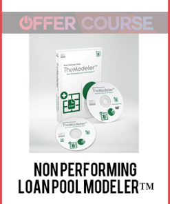 Non Performing Loan Pool Modeler™