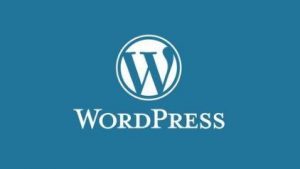 Piotr Wawrzyniak- WordPress for Beginners: Create Professional Websites