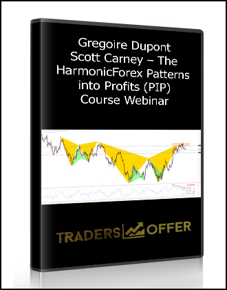 Scott Carney – The HarmonicForex Patterns into Profits (PIP) Course Webinars,