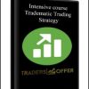 Intensive course – Tradematic Trading Strategy