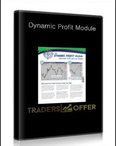 Nirvanasystems - Dynamic Profit Module