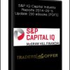 S&P IQ Capital Industry Reports 2014-2015 Update