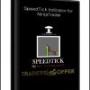 SpeedTick Indicator for NinjaTrader