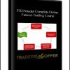 FXEStrader Complete Online Futures Trading Course