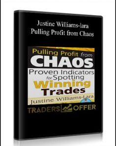 Justine Williams-lara – Pulling Profit from Chaos