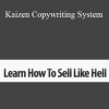 Dave Kaminski - Kaizen Copywriting System