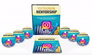 Instagram Mentorship ( 100k Instagram Setup System )