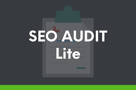Chase Reiner – SEO Audit Lite