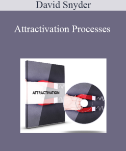 David Snyder - Attractivation Processes