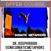 Dr. Joseph Riggio – Using Somatic Metaphors Training