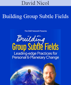 David Nicol - Building Group Subtle Fields