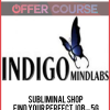 Subliminal Shop – Find Your Perfect Job – 5G