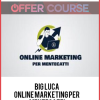 Big Luca – Online Marketing per Mentecatti