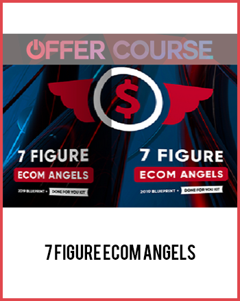 7 Figure Ecom Angels