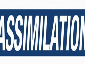 Kotton Grammer – Assimilation