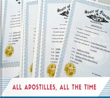 Andre C Hatchett - All Apostilles, All The Time