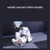 Andre Galvao-Open Guard