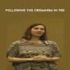 Cheryl Sanders - Following The Organism in TRE