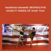 Maximum Damage Destructive Kicks ft Knees of Muay Thai by Malaipet Sitarvut
