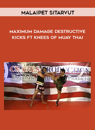 Maximum Damage Destructive Kicks ft Knees of Muay Thai by Malaipet Sitarvut