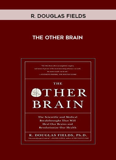 R. Douglas Fields - The Other Brain
