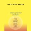 Sound Healing Center – Circulatory System