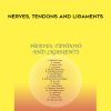 Sound Healing Center – Nerves, Tendons and Ligaments