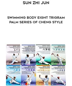 Sun Zhi Jun – Swimming Body Eight Trigram Palm Series of Cheng Style