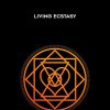 WarriorSage - Living Ecstasy