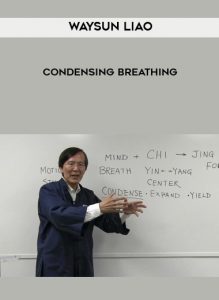 Waysun Liao – Condensing Breathing