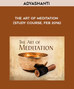 Adyashanti – The Art of Meditation (Study Course, Feb 2016)