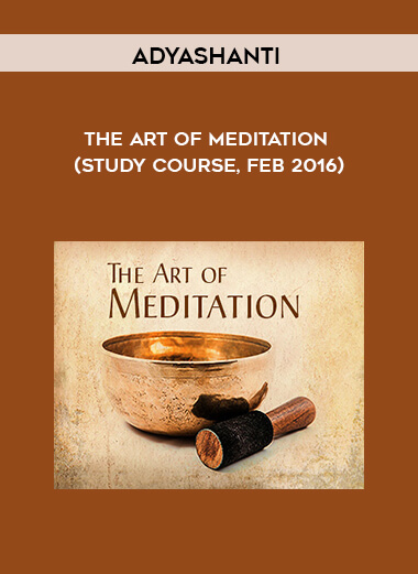 Adyashanti – The Art of Meditation (Study Course, Feb 2016)