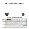 Bar Brothers – The System – Calisthenics