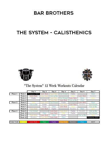 Bar Brothers – The System – Calisthenics