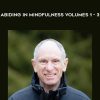 Joseph Goldstein – Abiding in Mindfulness Volumes 1 – 3