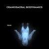 Judah Lyons – Craniosacral Biodynamics