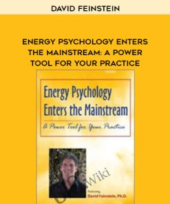 Energy Psychology Enters the Mainstream: A Power Tool for Your Practice – David Feinstein