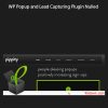 Pippity–WP Popup and Lead Capturing Plugin Nulled