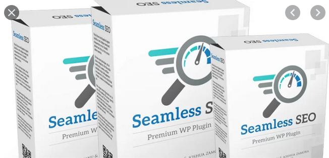 Radu Hahainu and Joshua Zamora - Seamless SEO
