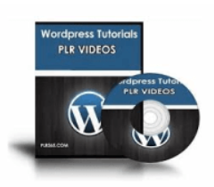 cswjohnni - PLR WordPress Videos