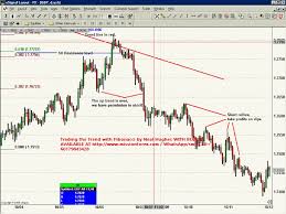 Neal Hughes – Fibonacci Trading For Stocks, Options, Futures,and Forex Traders
