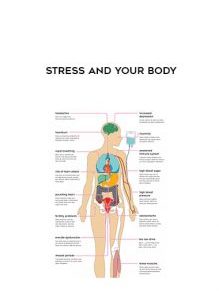 Stress and Your Body