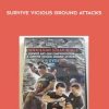 Survive Vicious Ground Attacks by Moni Atnk