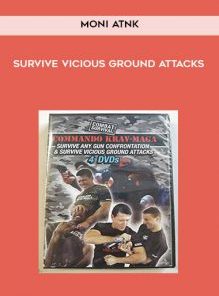 Survive Vicious Ground Attacks by Moni Atnk